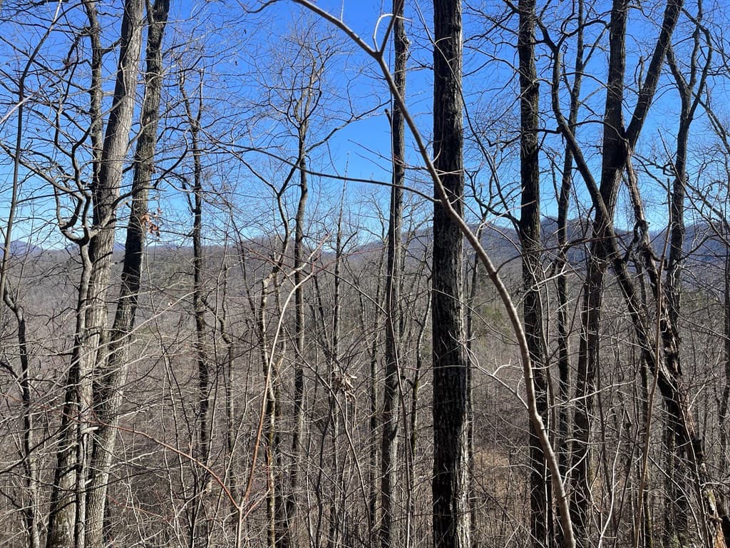 Residential Lot at Lot 68j 68J Grandview Drive, Hayesville, NC 28904, photo 2 of 5