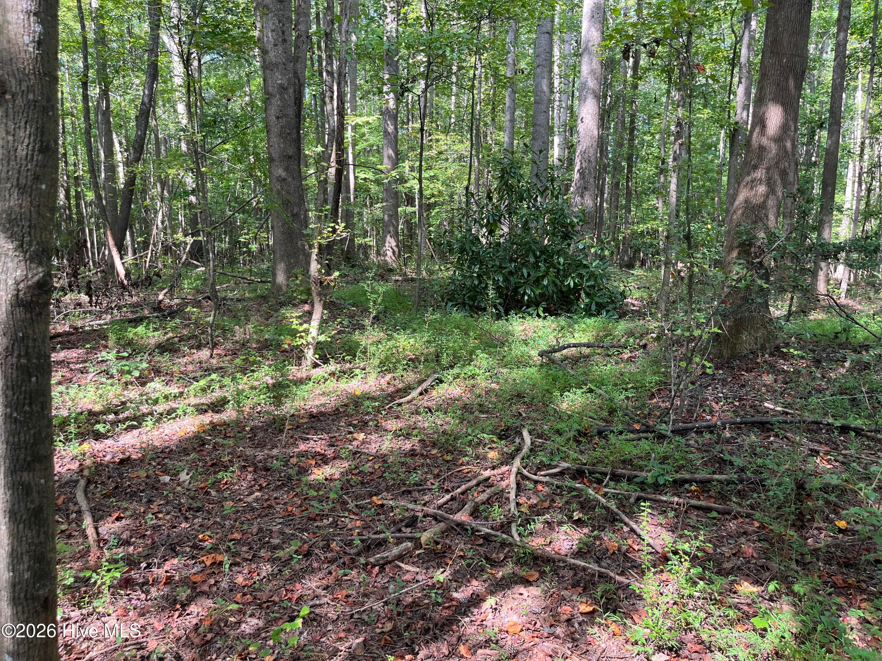 Undeveloped at 9011 Pleasant Grove Church Road, Spring Hope, NC 27882, photo 6 of 11