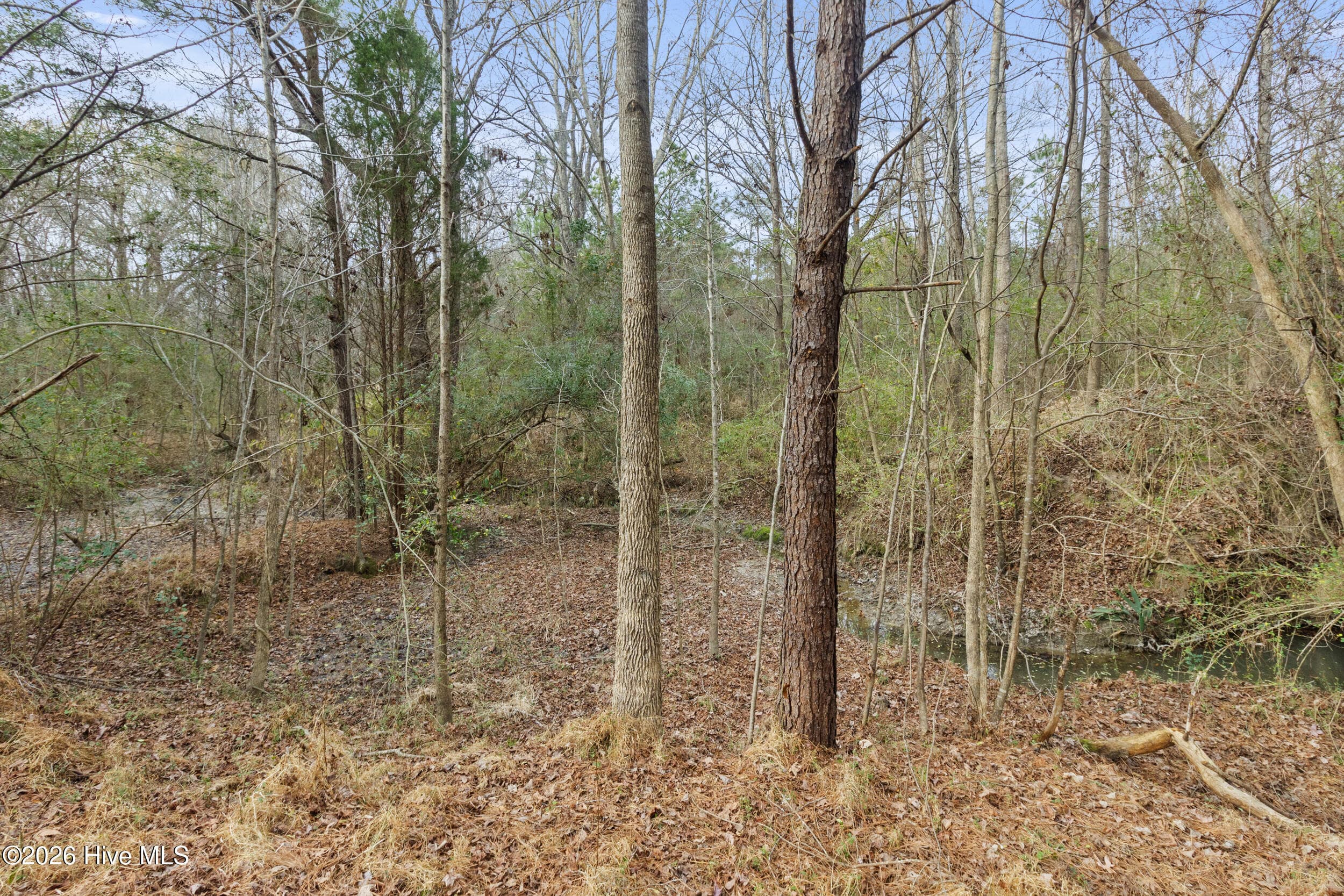 Undeveloped at 2711 Old Airport Road, New Bern, NC 28562, photo 17 of 23
