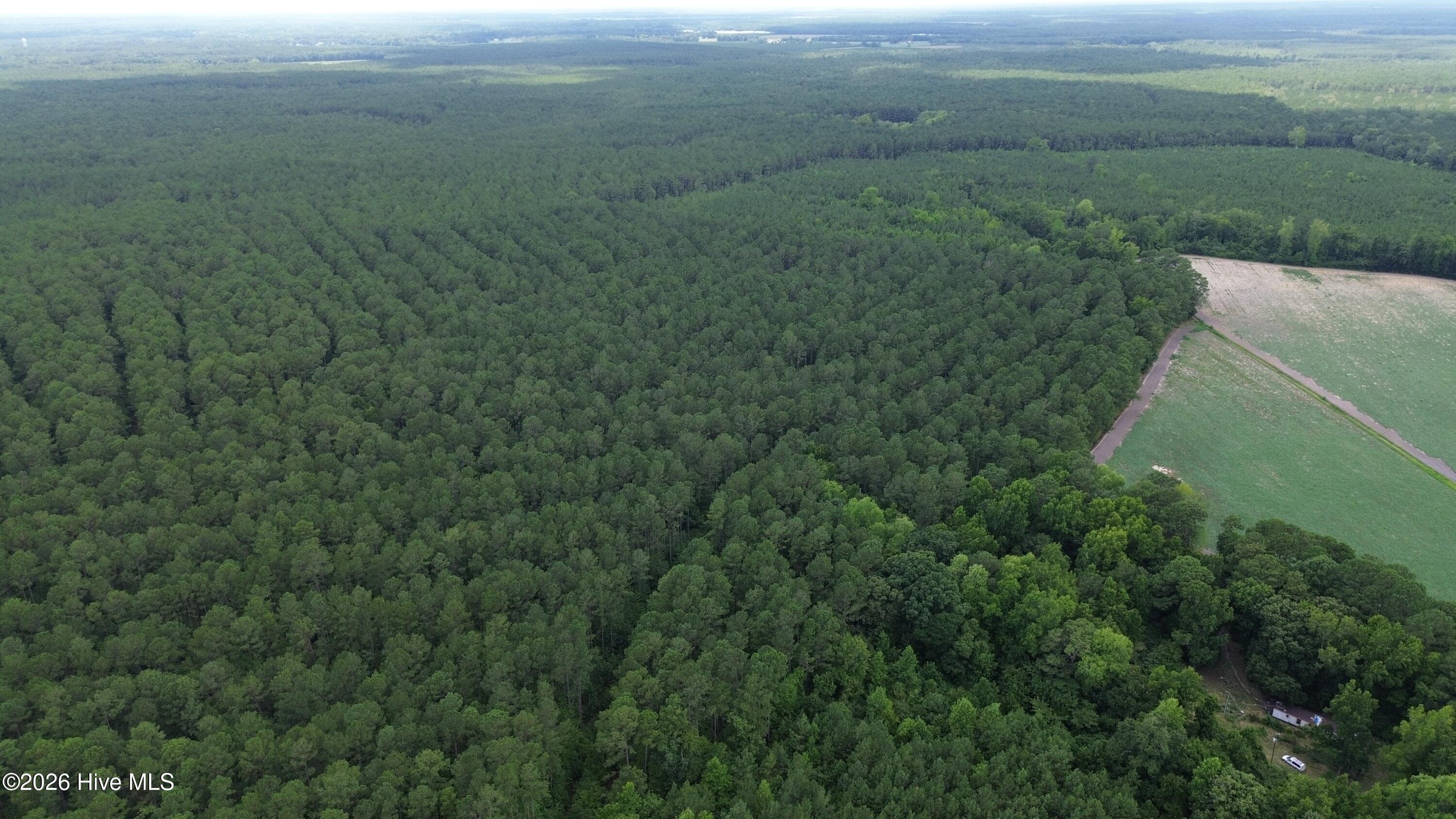 Wooded at Tbd Point Caswell Road, Atkinson, NC 28421, photo 8 of 16