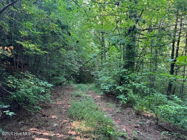Residential Lot at 5 Tyler Lane, Marble, NC 28905, photo 18 of 28
