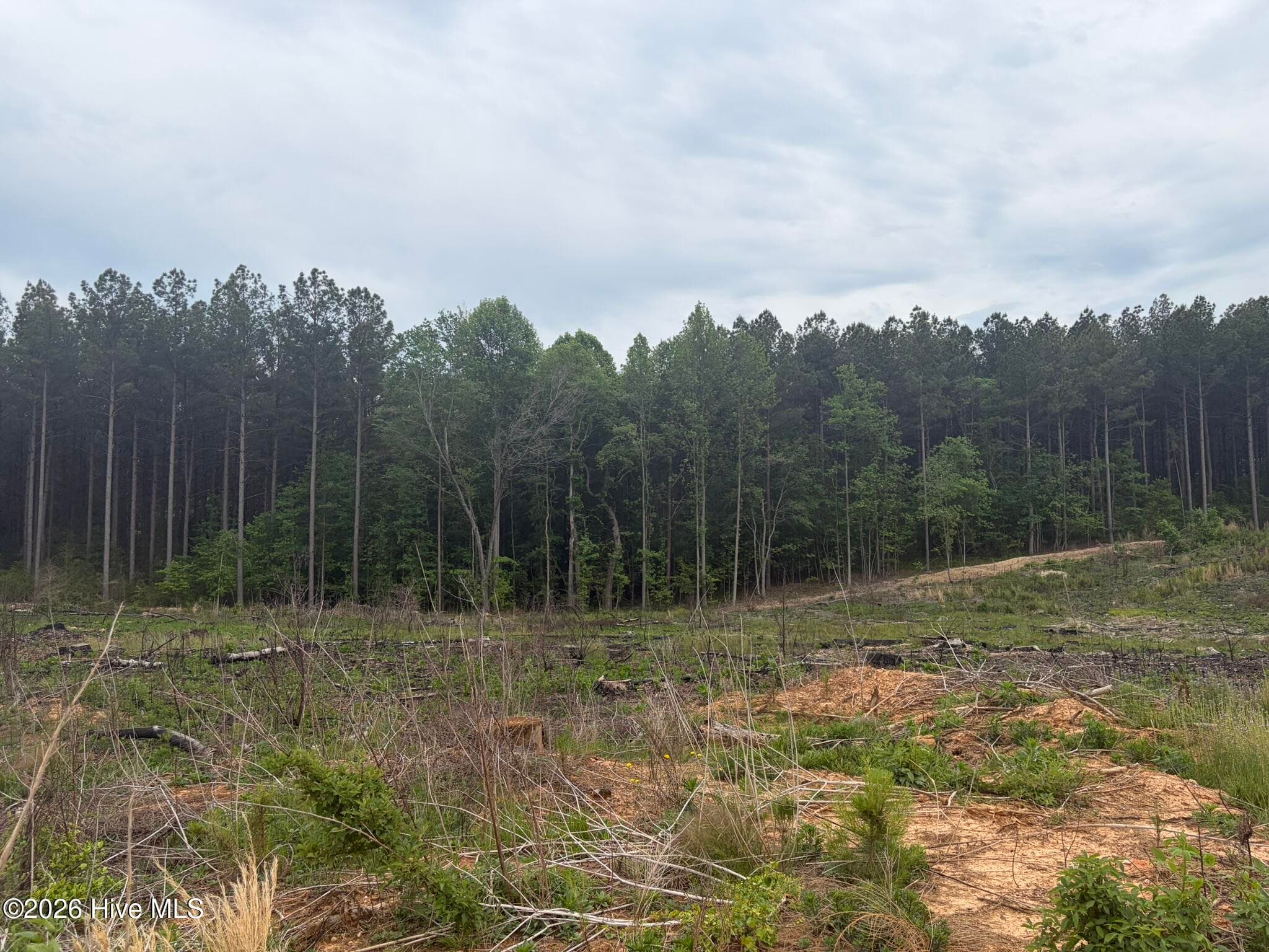 Tbd Tarry Church Road, Star, NC 27356