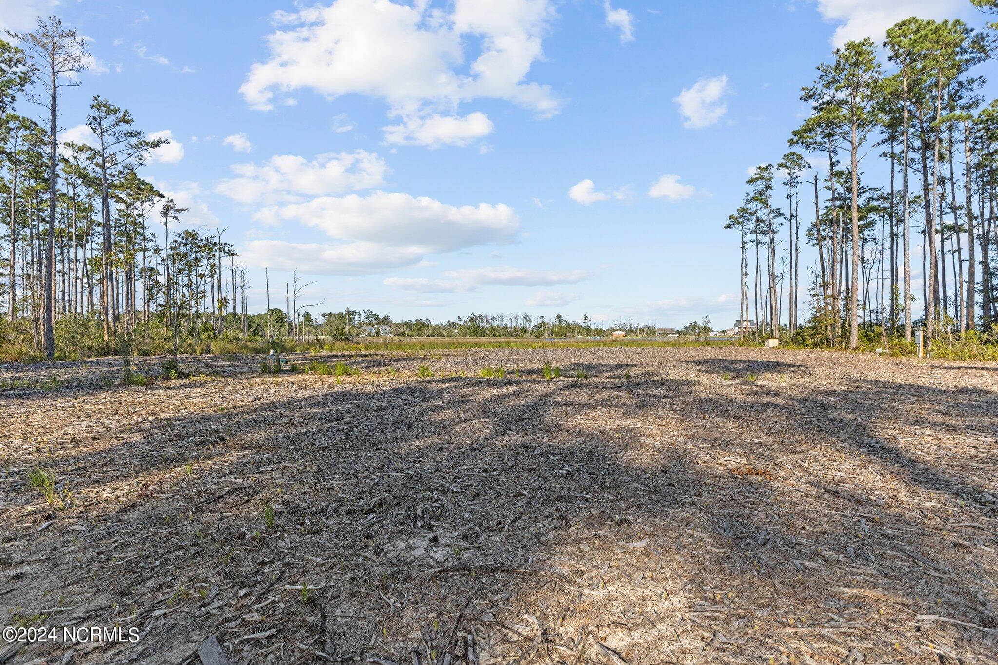 Residential Lot at 280 Donnie Davis Road, Williston, NC 28589, photo 6 of 22