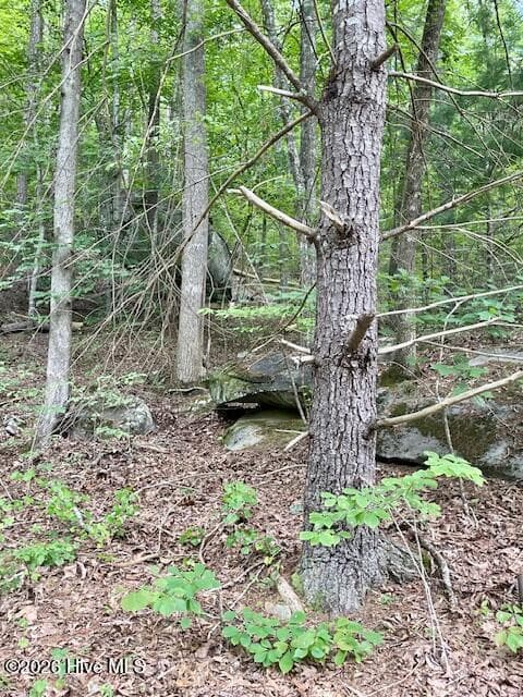 11 Lonesome Pine Road, Murphy, NC 28906