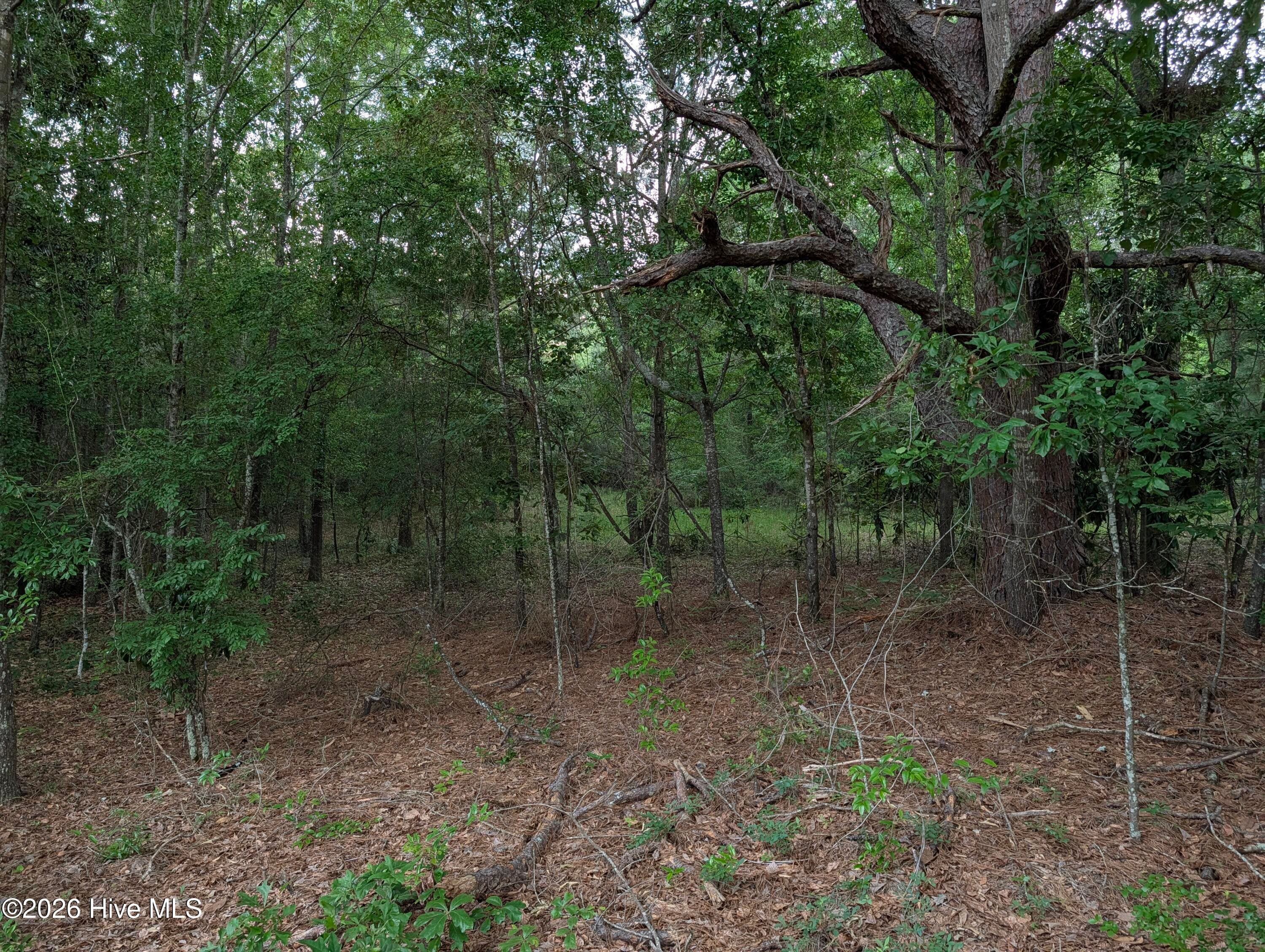 Residential Lot at 285 Garvin Drive, Wagener, SC 29164, photo 7 of 14