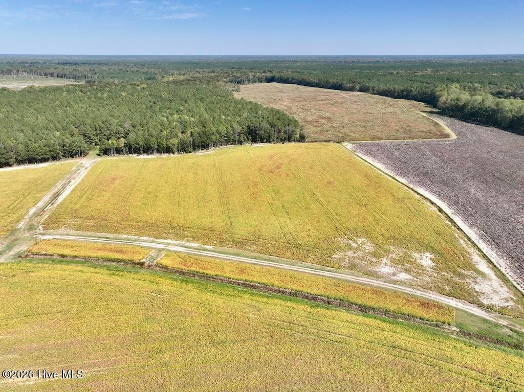 Mixed Use at 0 Spring Hill Road, Scotland Neck, NC 27874, photo 86 of 93