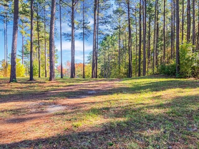 Residential Lot at 18 S Pointe Cove, Lincolnton, GA 30817, photo 15 of 15