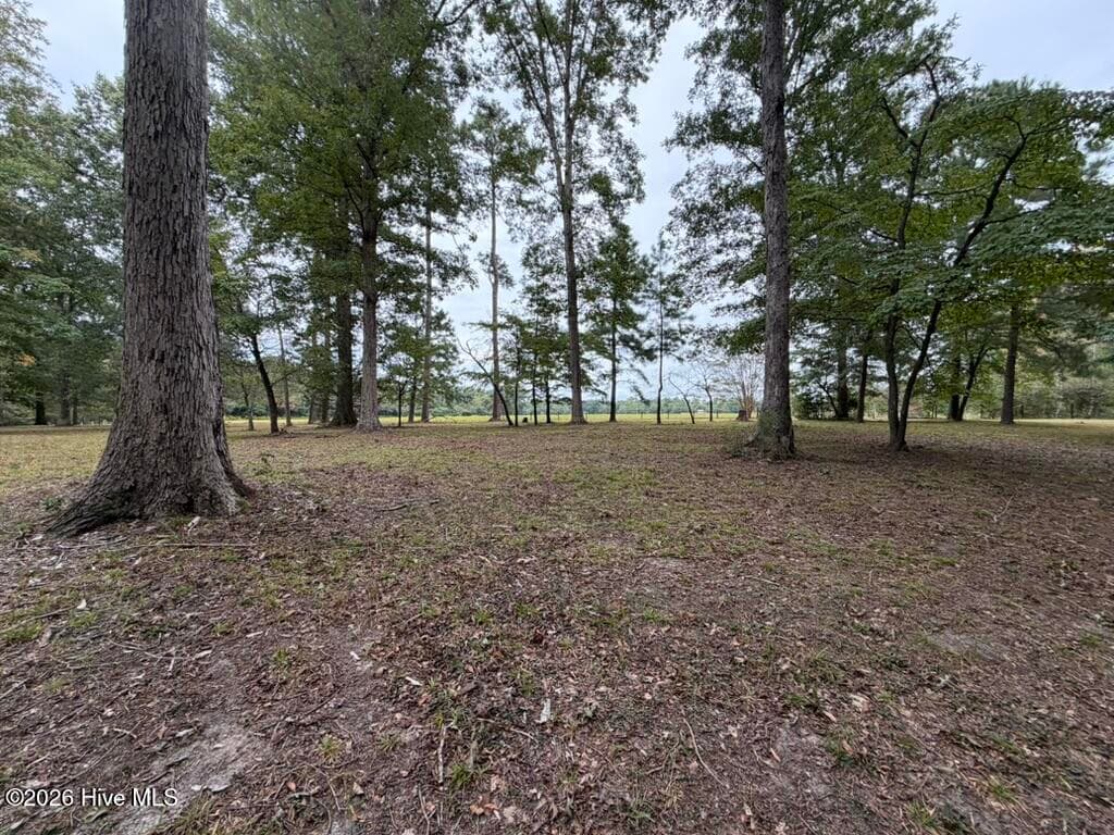 Single Family Residence at 1708 Nc Highway 45, Cofield, NC 27922, photo 81 of 86