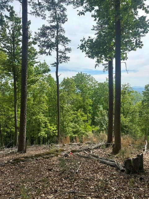Land at Lot 4 Hampton Knob, Murphy, NC 28906, photo 3 of 6