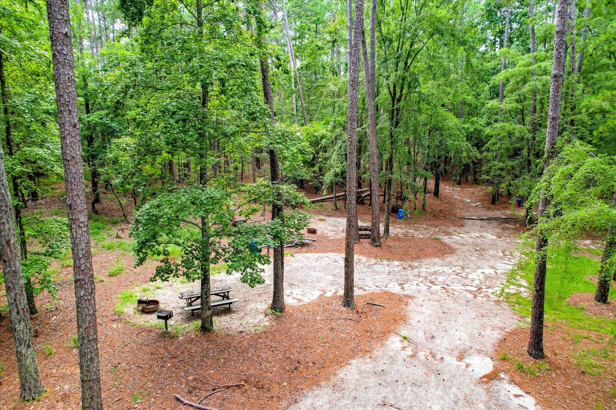Residential Lot at 6205 Keg Creek Drive, Appling, GA 30802, photo 20 of 20