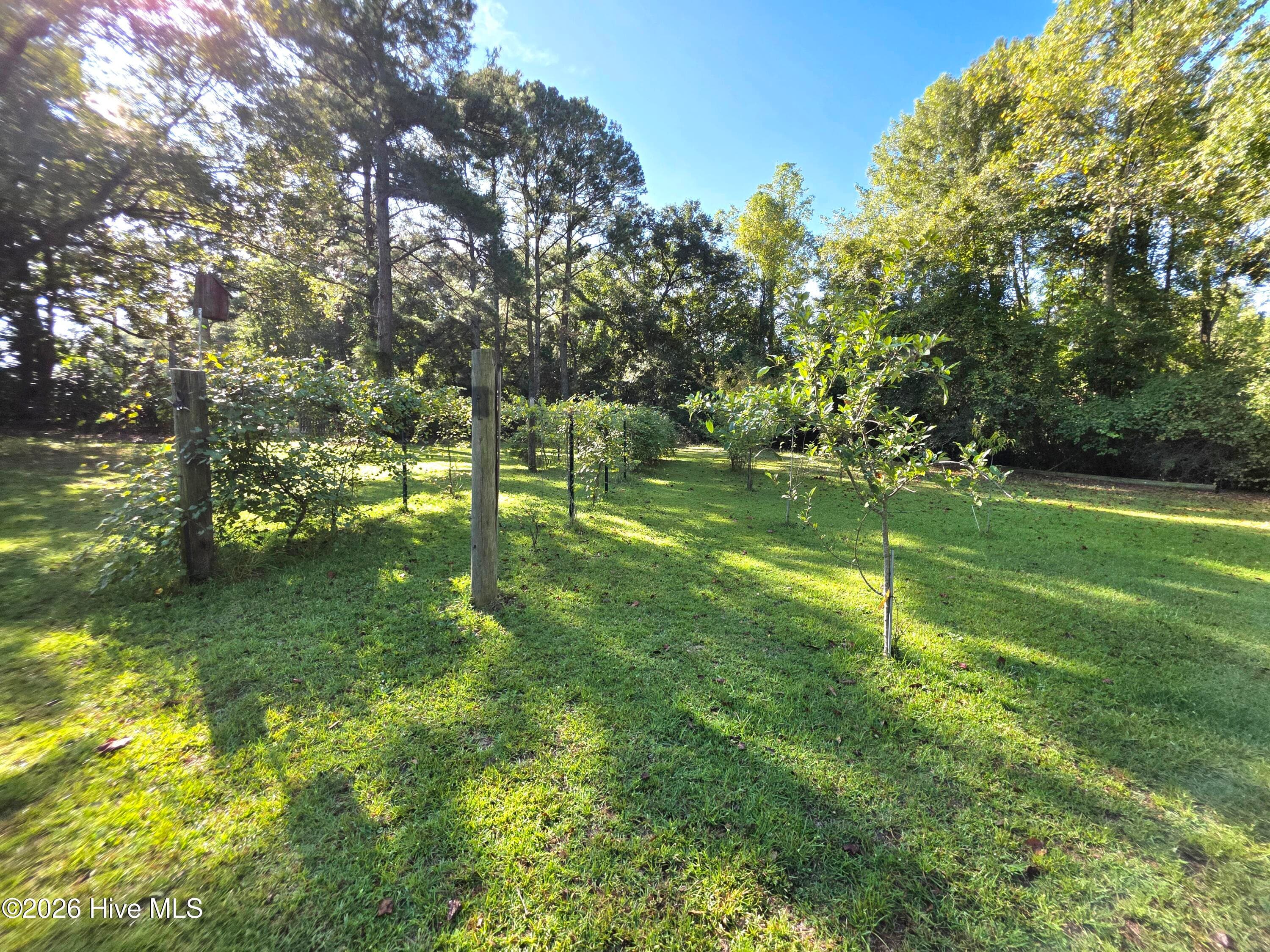 Single Family Residence at 170 South River Road, Autryville, NC 28318, photo 52 of 73