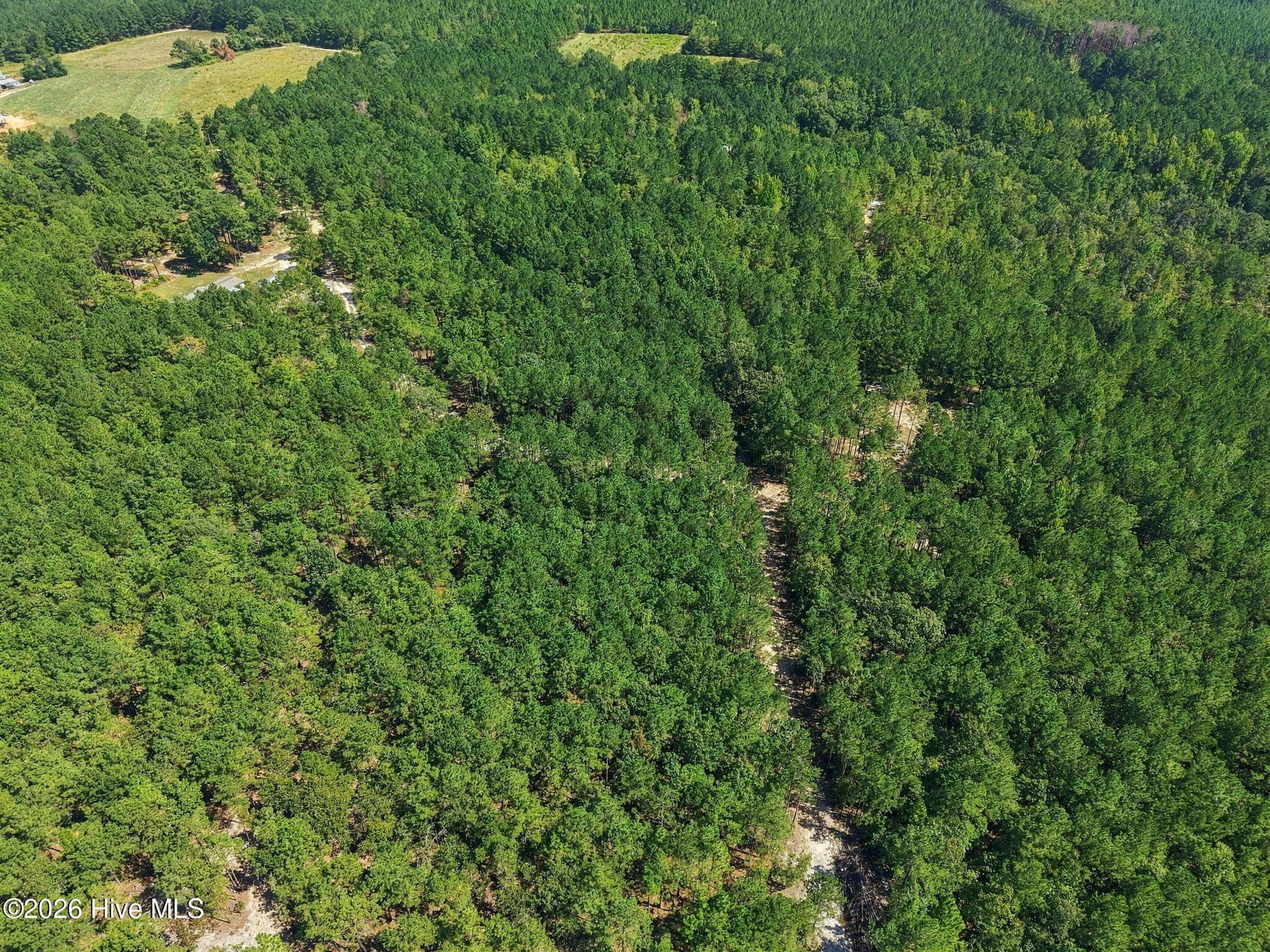 Undeveloped at 260 Full Bright Lane, Cameron, NC 28326, photo 7 of 15