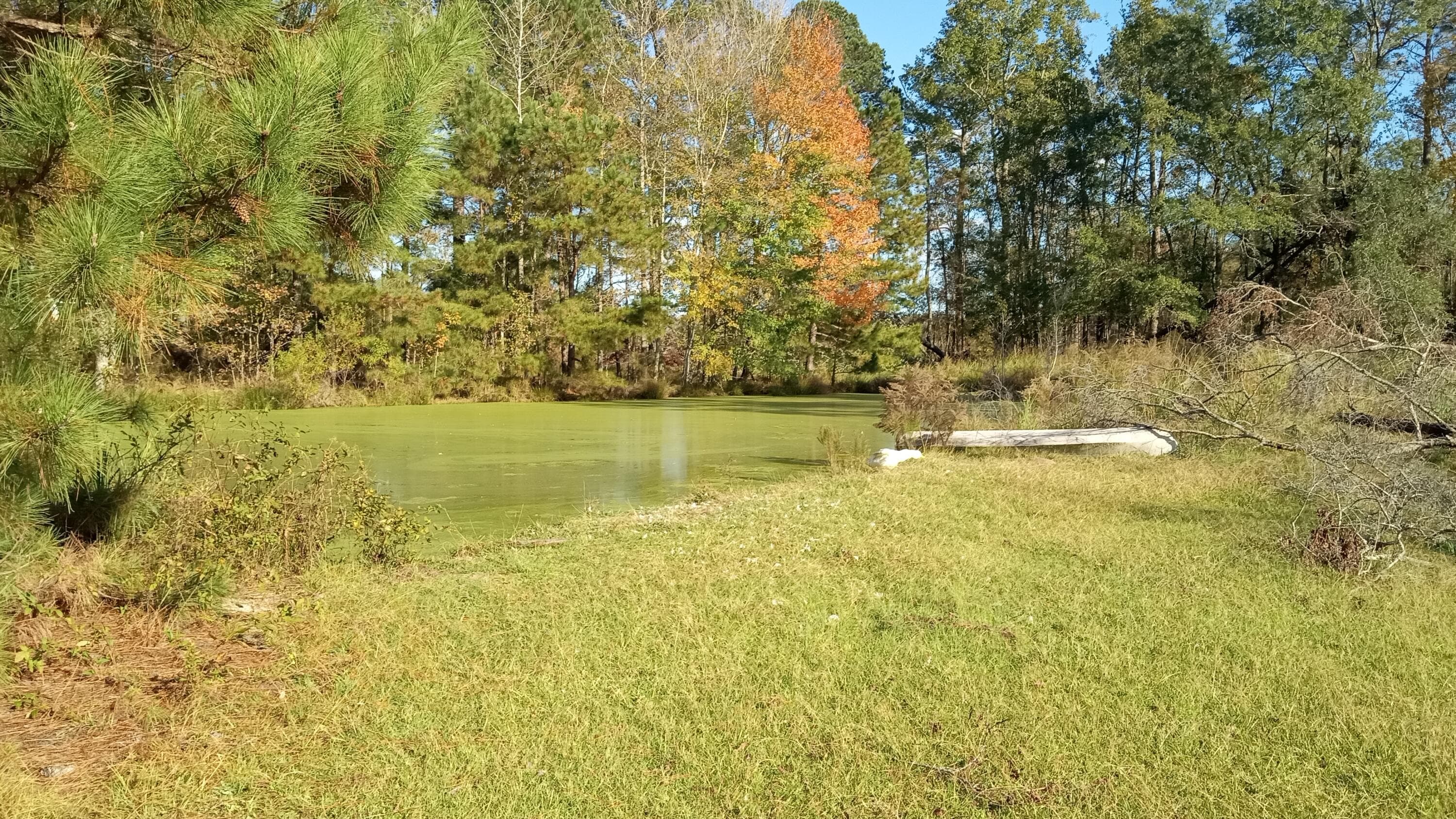 Undeveloped at Tbd2 Sc-23, Edgefield, SC 29824, photo 38 of 41