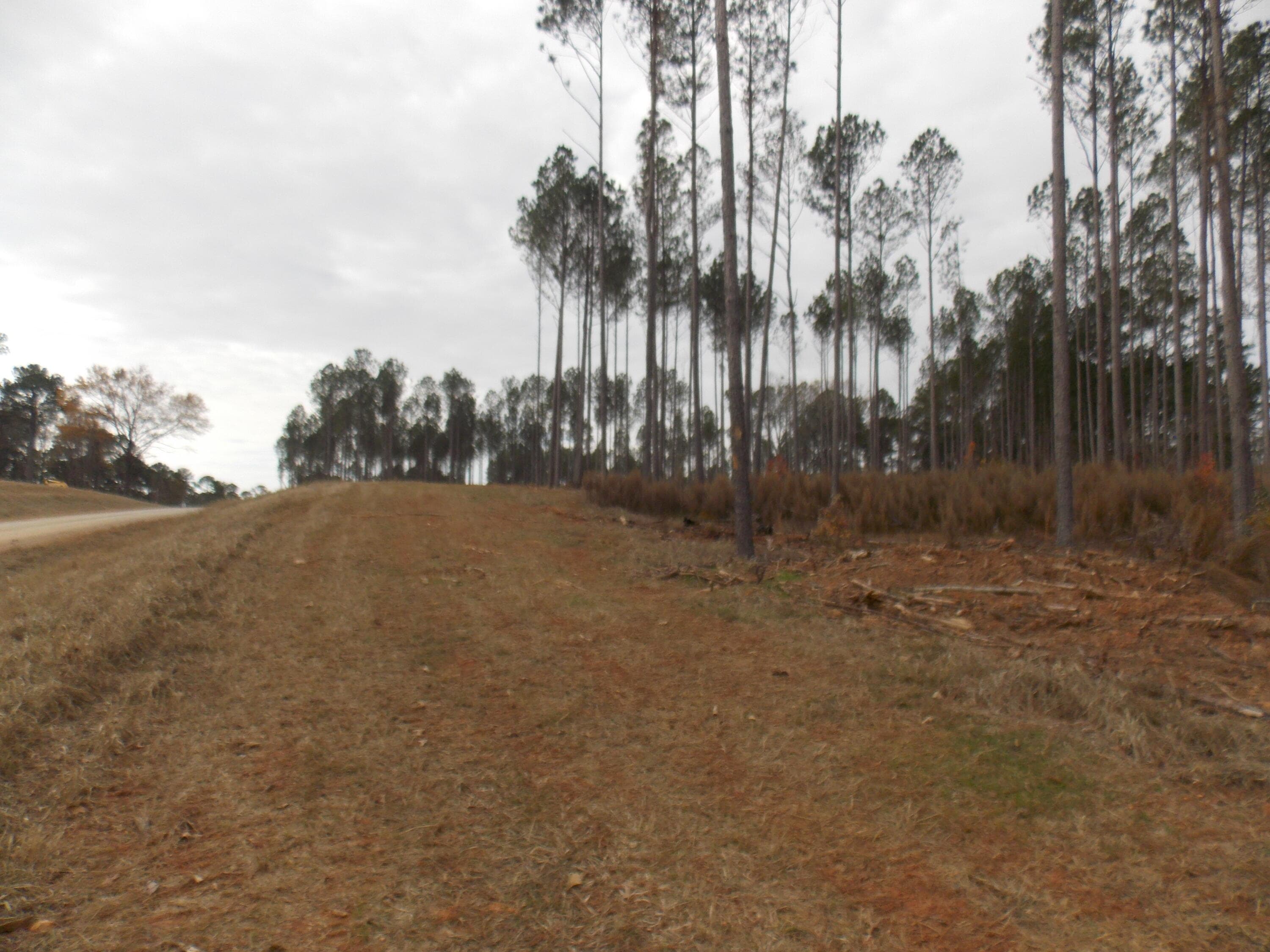 Undeveloped at 2 2 E Mosley Road, Lincolnton, GA 30817, photo 2 of 3
