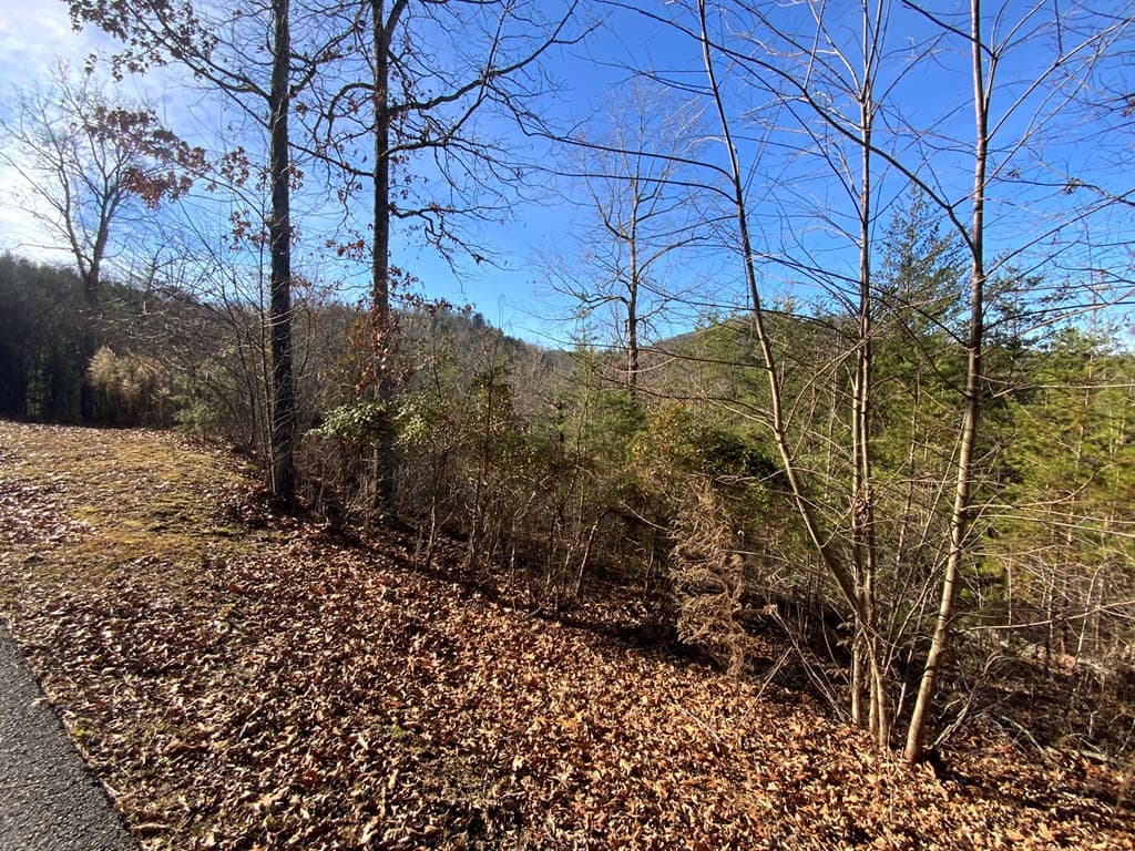Land at 00 Brasstown View, Murphy, NC 28906, photo 4 of 12