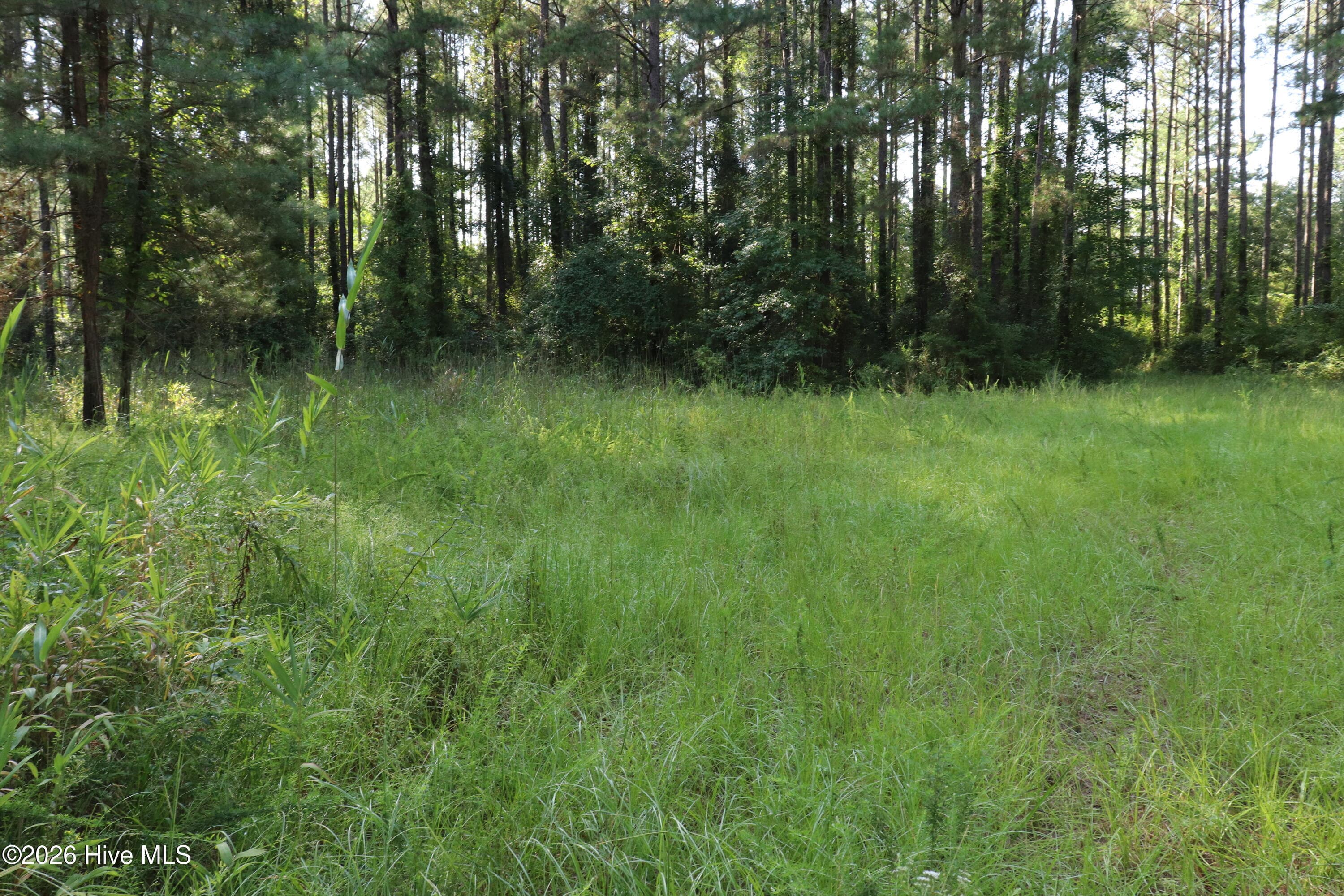 Cleared Area within lot - Tbd 14 & 15 River Haven Lane, Harrells, NC 28444