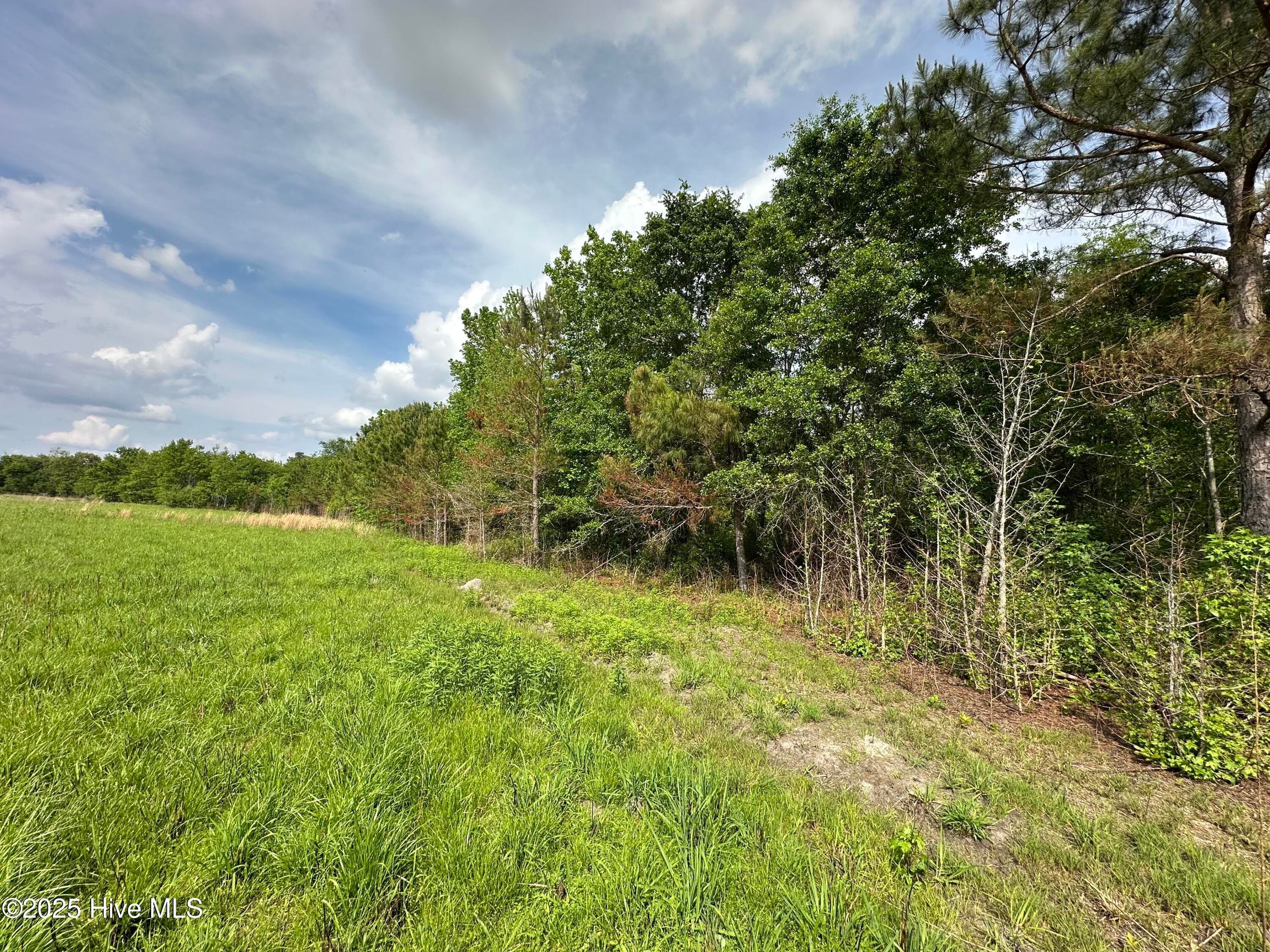 Undeveloped at Tract 2 Mcgirt Road, Maxton, NC 28364, photo 4 of 5