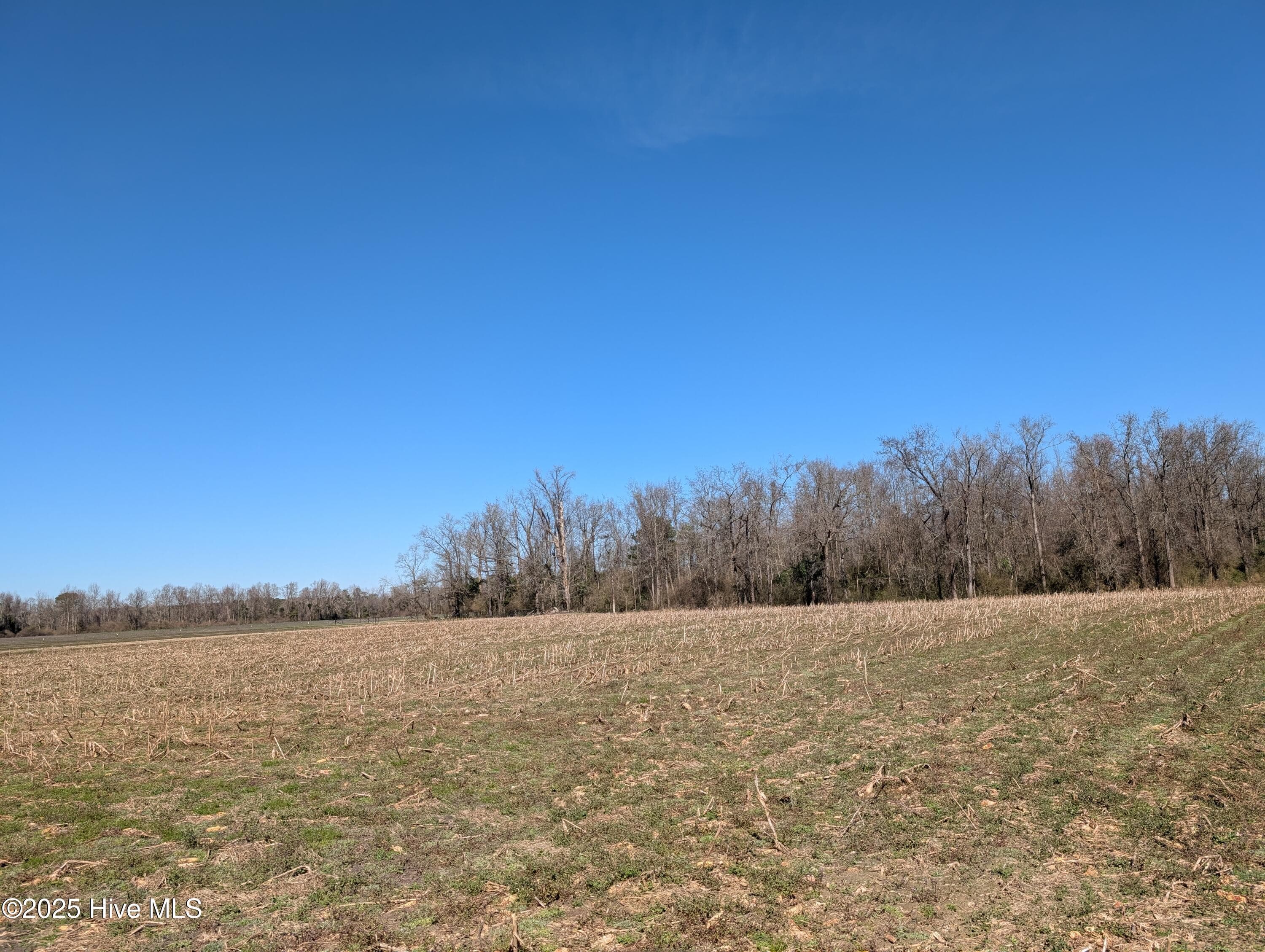 Farm at 000 1 Cedar Fork Road, Beulaville, NC 28518, photo 4 of 7