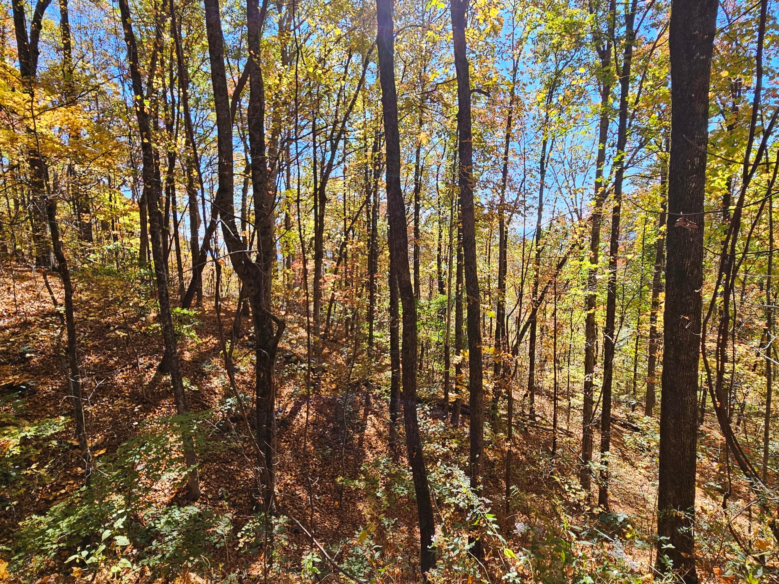Undeveloped at 0 Confederate Drive, Clayton, GA 30525, photo 24 of 30