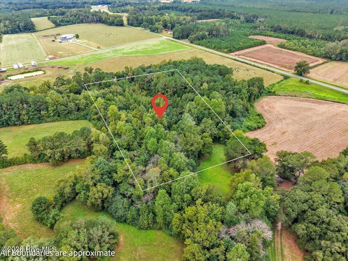 Undeveloped at 0 Dewitt Gooden Road, Elizabethtown, NC 28337, photo 3 of 8