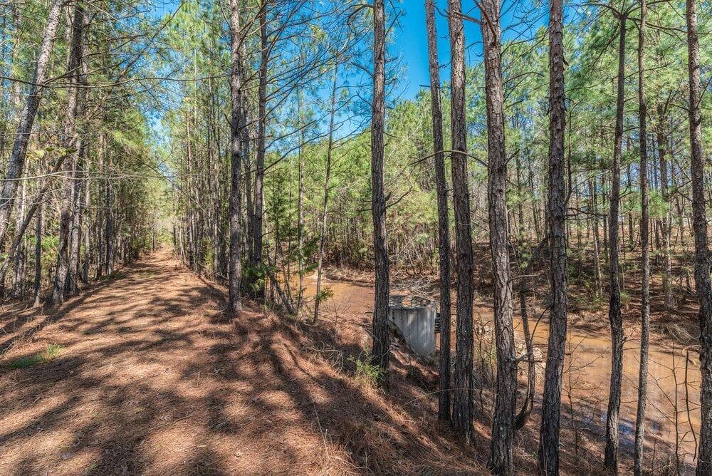 Residential Lot at 1421 14 Dunwoody Place, Appling, GA 30802, photo 13 of 16