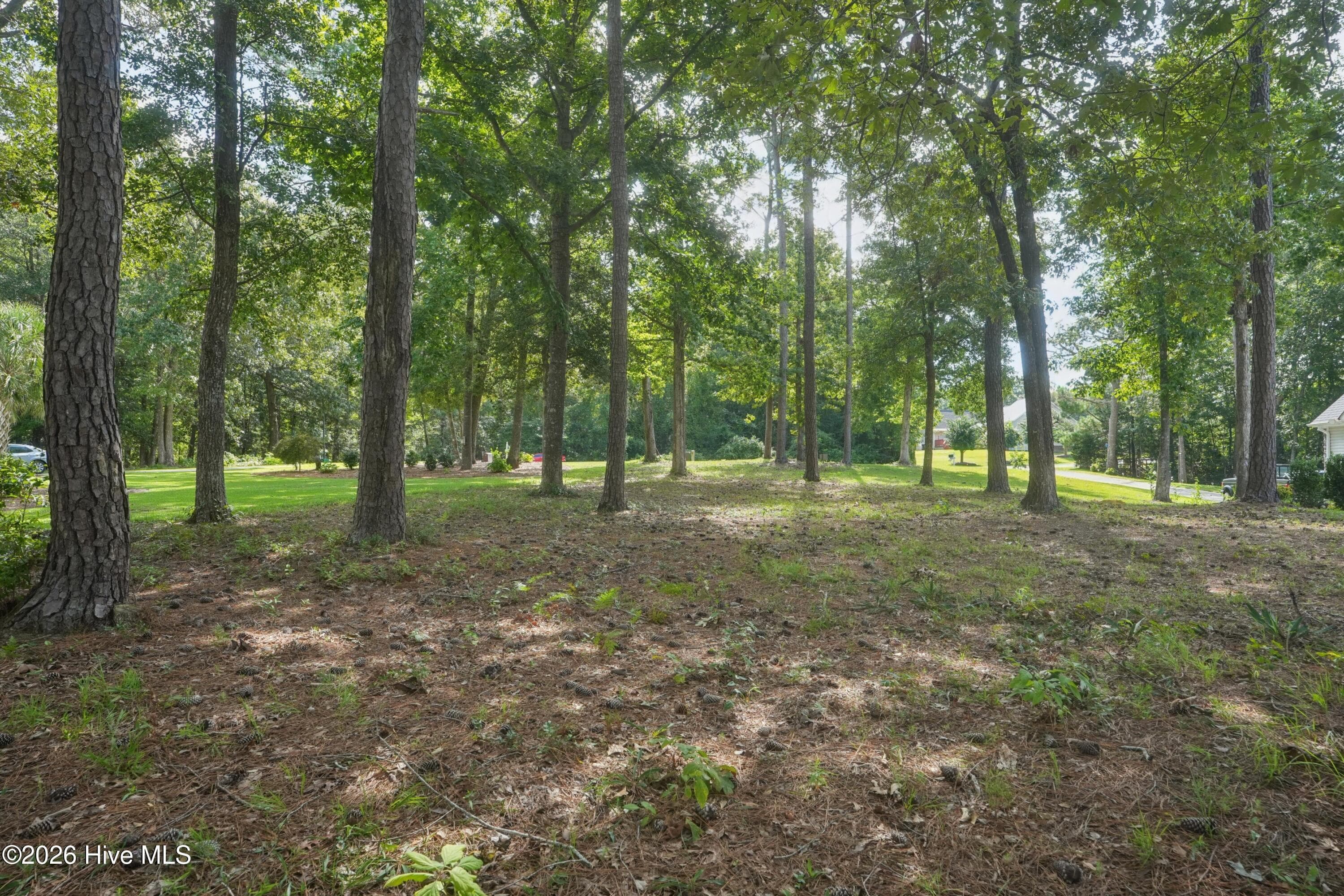 Residential Lot at 209 Creek View Circle, Sneads Ferry, NC 28460, photo 14 of 30