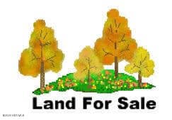 6855 Seven Bridges Road, Whitakers, NC 27891