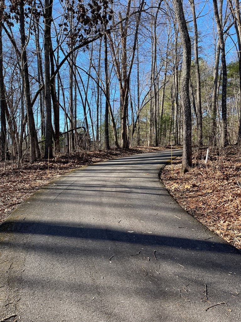 Residential Lot at Lot #12e 12E The Woodlands, Hayesville, NC 28904, photo 6 of 6