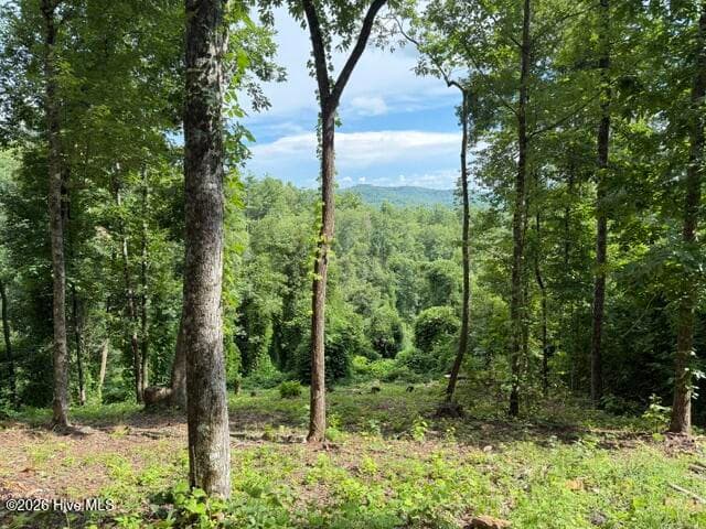 Lot 25 25 Bryson Creek Drive, Murphy, NC 28906
