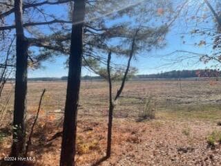 Wooded at 847 4565 Seagull Drive, Vass, NC 28394, photo 7 of 7