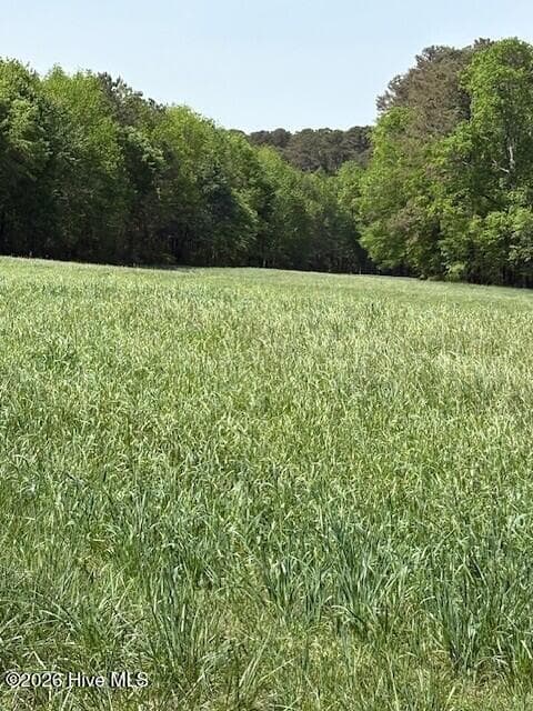 Agriculture at 000 Leon Road, Nashville, NC 27856, photo 3 of 6