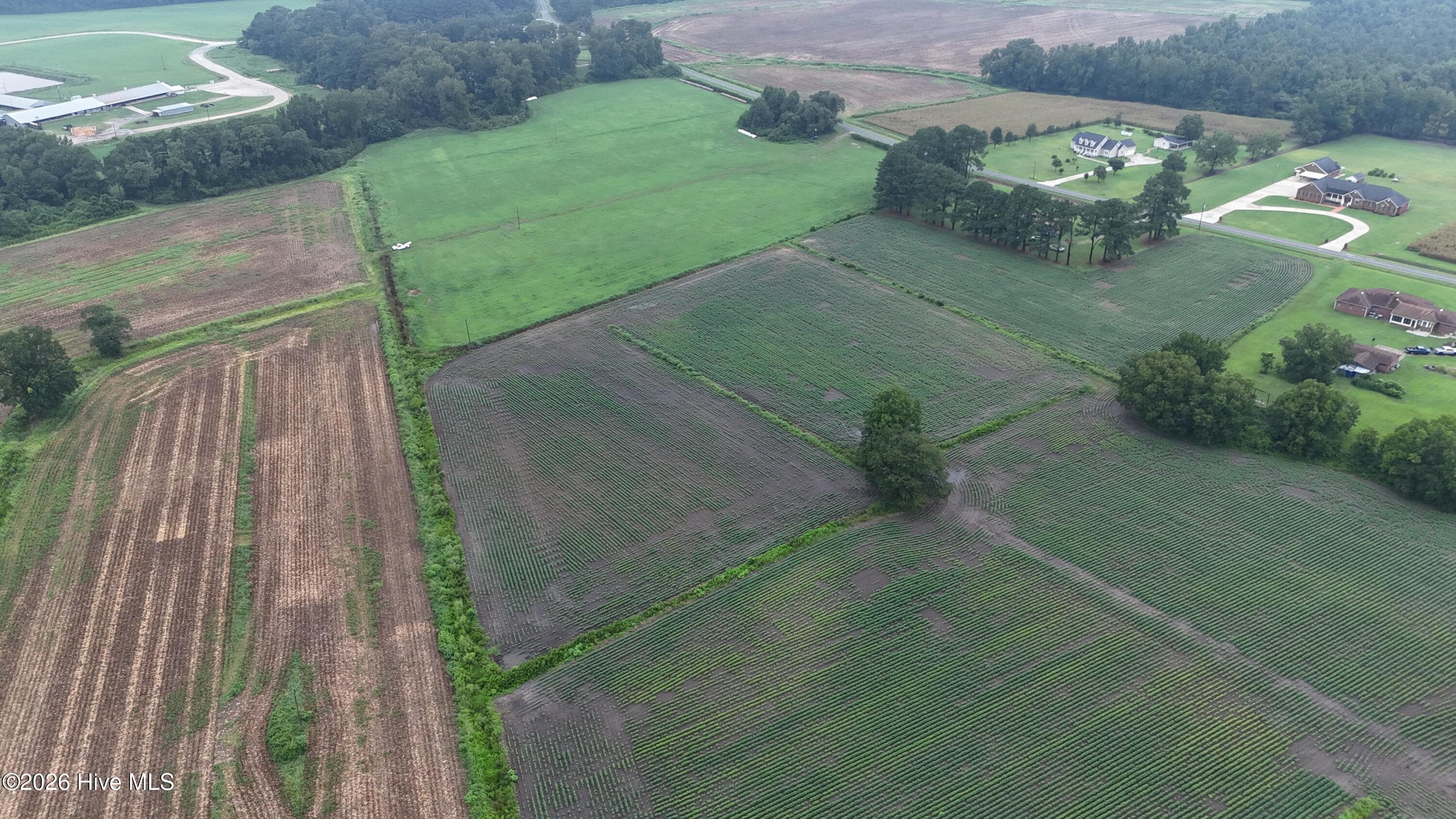 Agriculture at Near 128 Bay Rd., Rose Hill, NC 28458, photo 6 of 21