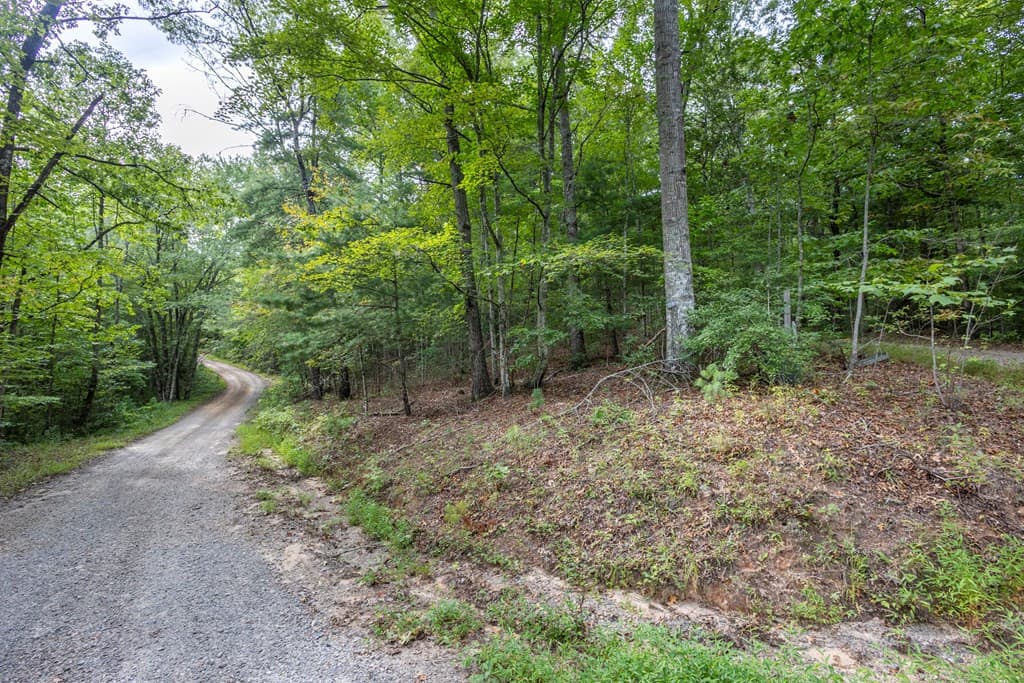 Residential Lot at 2 Ac 6 Horvath Road, Murphy, NC 28906, photo 6 of 12