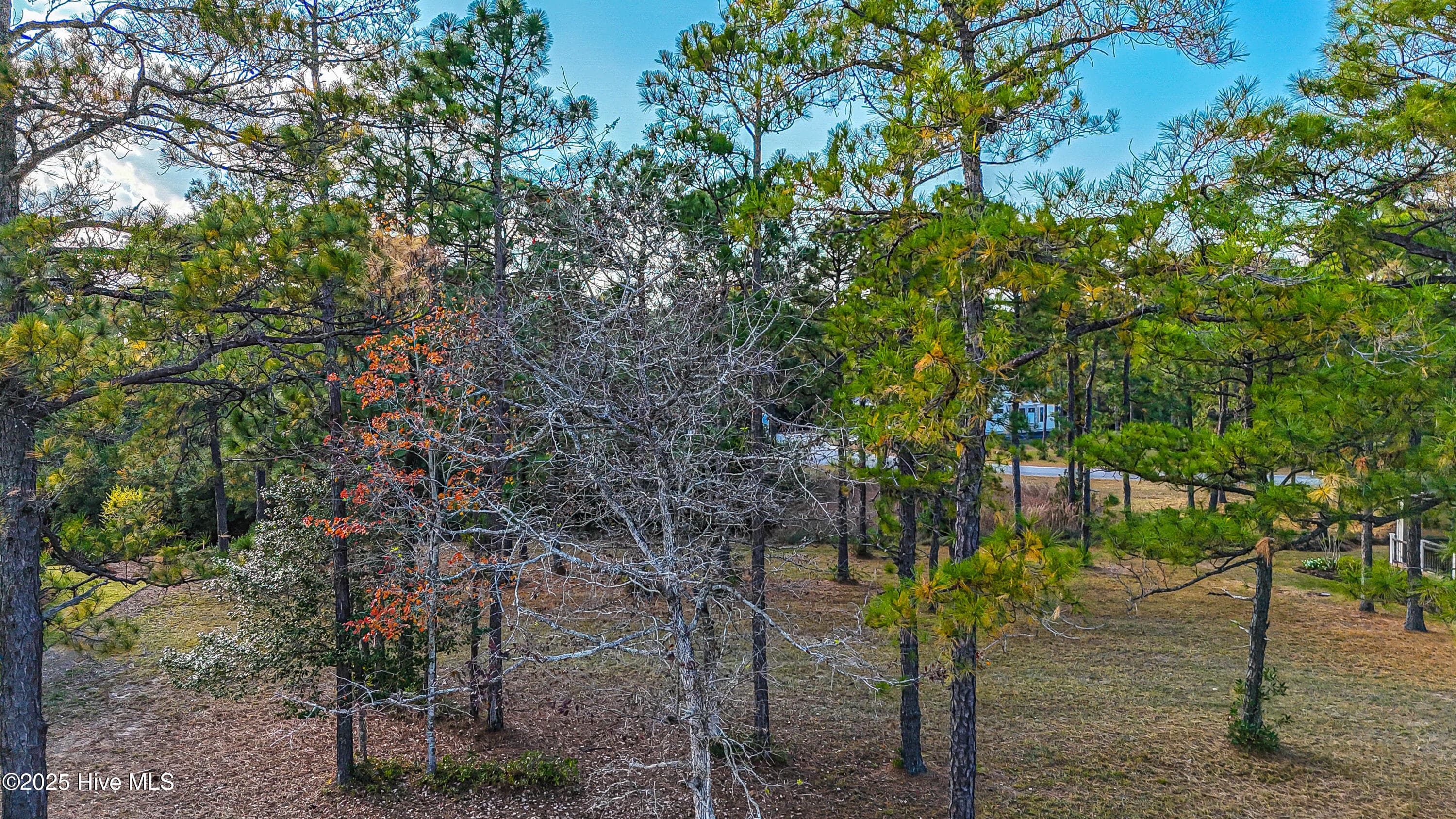 Residential Lot at 6649 65 Summerhill Glen SW, Ocean Isle Beach, NC 28469, photo 6 of 21