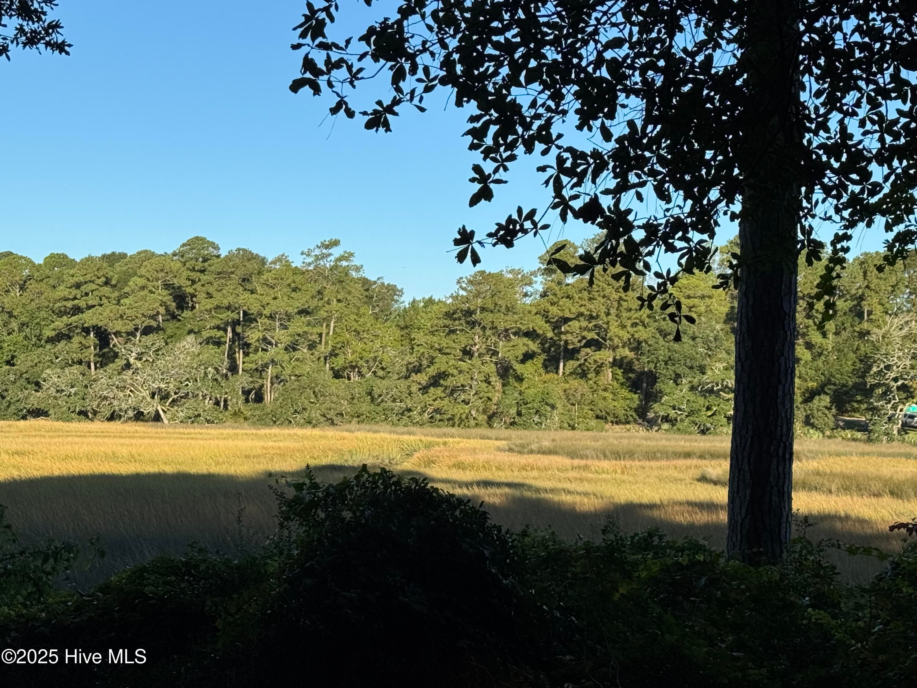 Residential Lot at 594 Medcalf Drive SW, Sunset Beach, NC 28468, photo 4 of 7