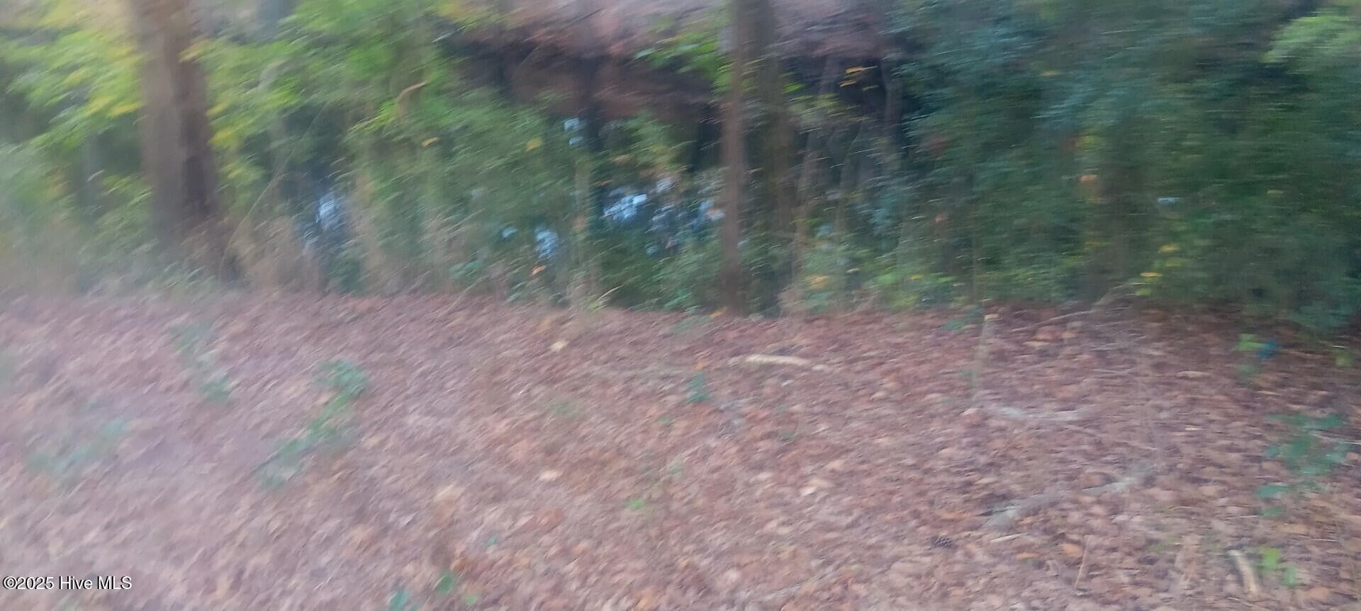 Residential Lot at 0 6 Hwy 53, Burgaw, NC 28425, photo 3 of 5