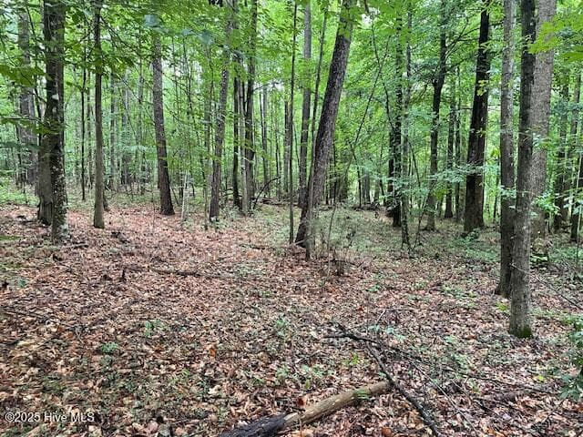 Residential Lot at 62 Live Oak Drive, Elizabethtown, NC 28337, photo 4 of 4