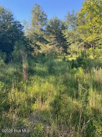 Agriculture at 1071 W 4 Points Road, Keysville, GA 30816, photo 3 of 4