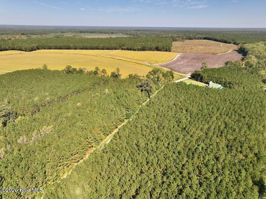 Mixed Use at 0 Spring Hill Road, Scotland Neck, NC 27874, photo 69 of 93