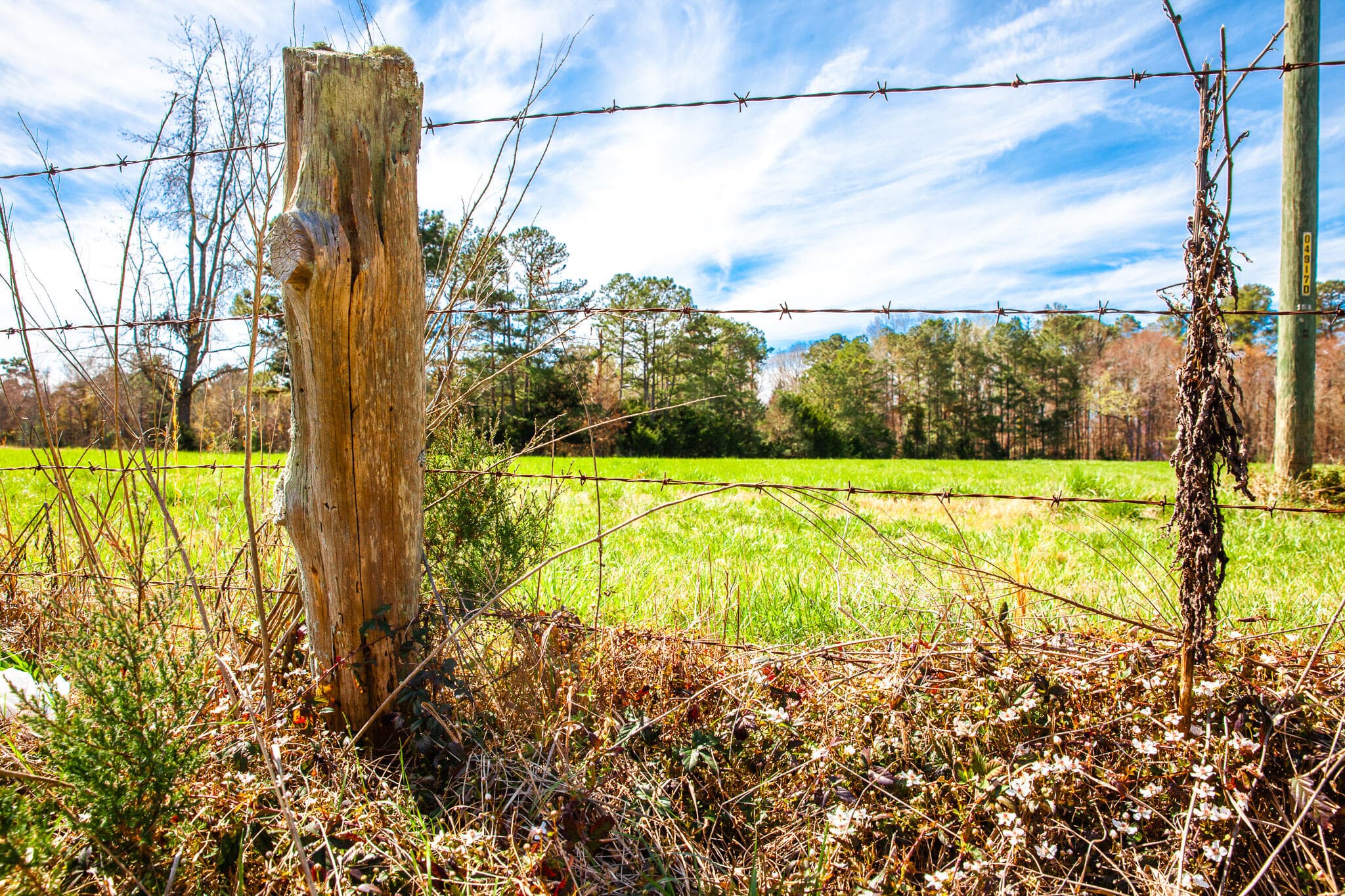 Undeveloped at 3520 3 Mistletoe Rd Road, Appling, GA 30802, photo 3 of 12