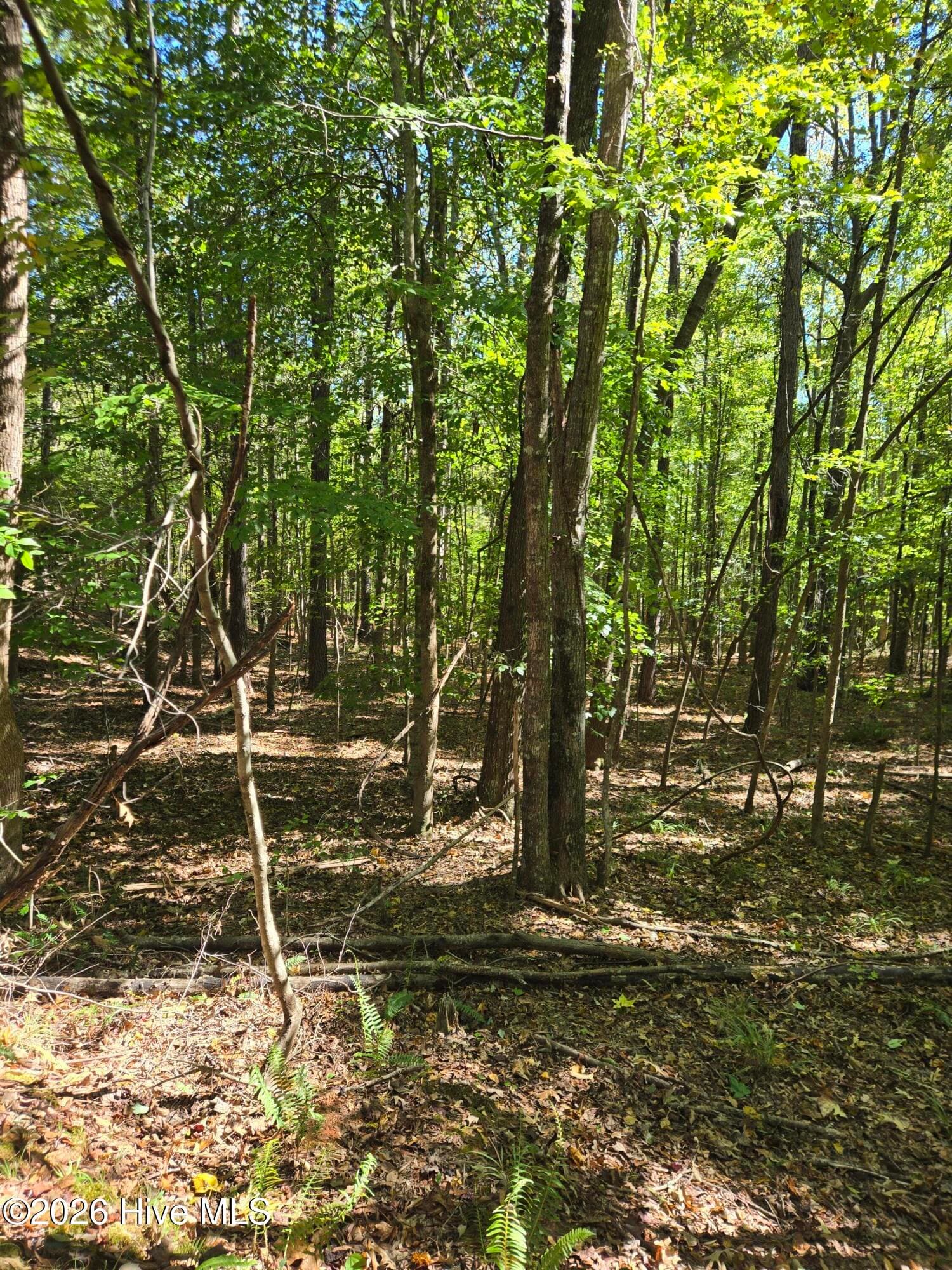 Residential Lot at 2776 Crook Road, Lincolnton, GA 30817, photo 20 of 23