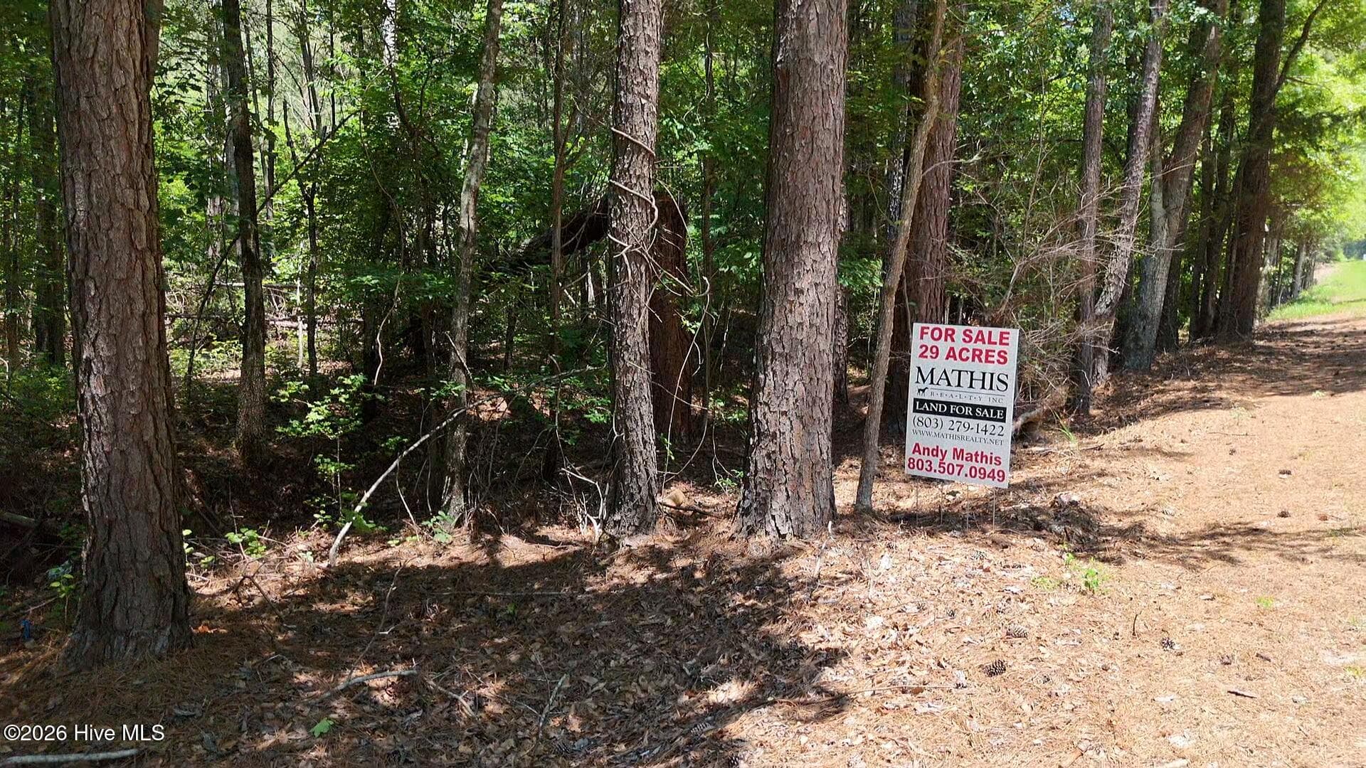 Wooded at 110 N North Martintown Road Road, Edgefield, SC 29824, photo 3 of 4