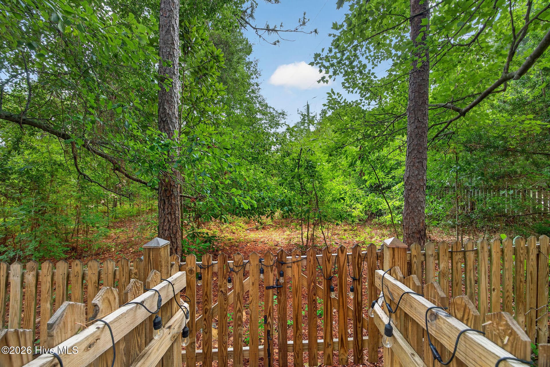 Single Family Residence at 101 Mackenzie Drive, Wilmington, NC 28409, photo 54 of 60