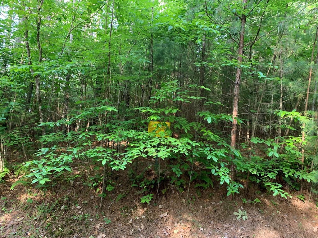 Land at Lot 43 Kestrel Ridge Circle, Murphy, NC 28906, photo 10 of 24