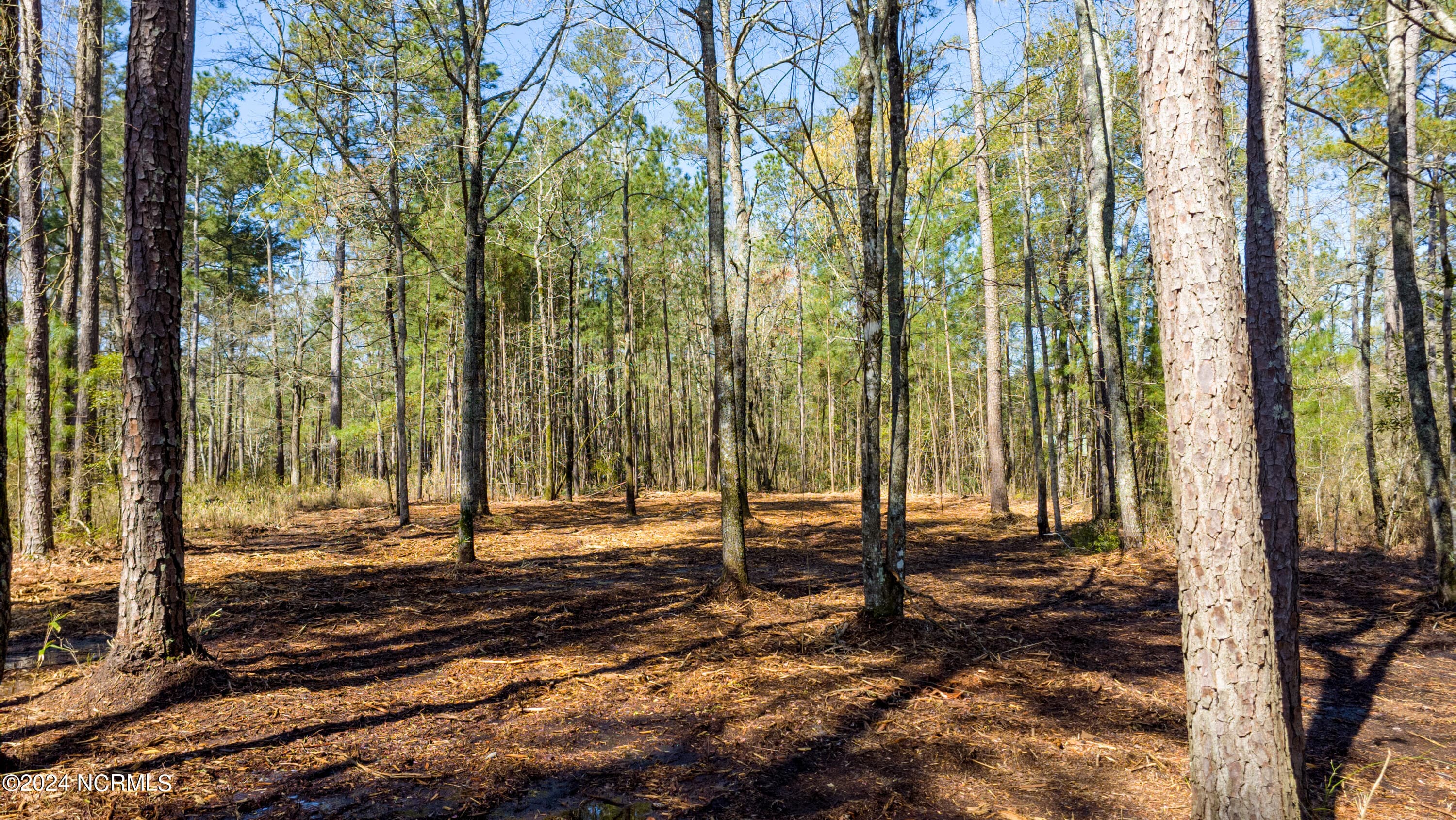 Residential Land at 15 Alexander Drive, Belhaven, NC 27810, photo 12 of 15