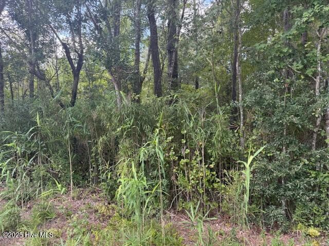 Residential Lot at 2539 Chauncey Town Road, Lake Waccamaw, NC 28450, photo 3 of 8
