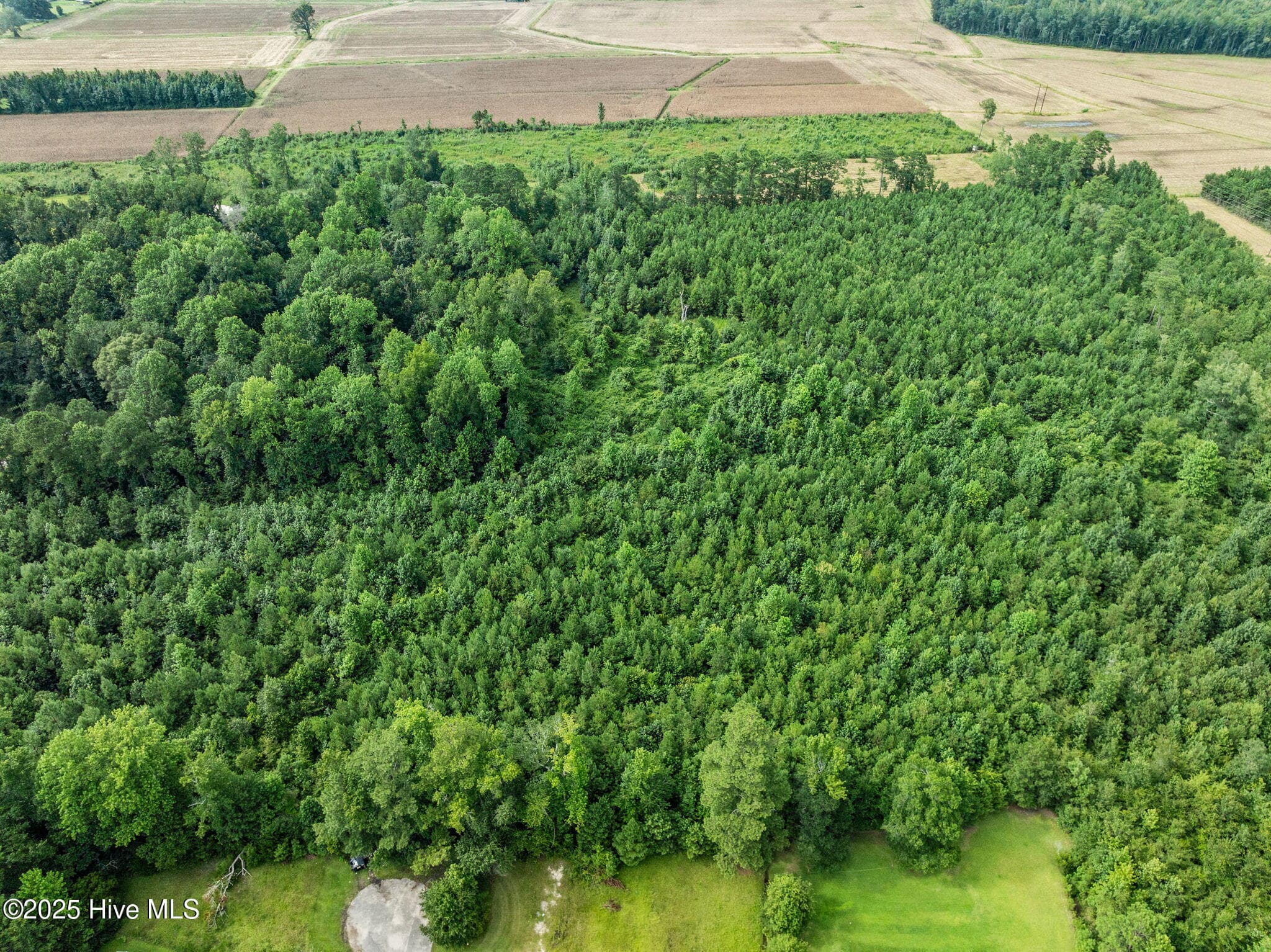 Residential Lot at 3381 1 Memory Lane S, Burgaw, NC 28425, photo 10 of 17