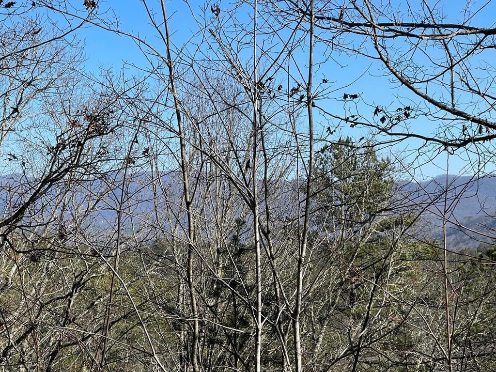 Land at 000 Mistletoe Ridge, Murphy, NC 28906, photo 23 of 26