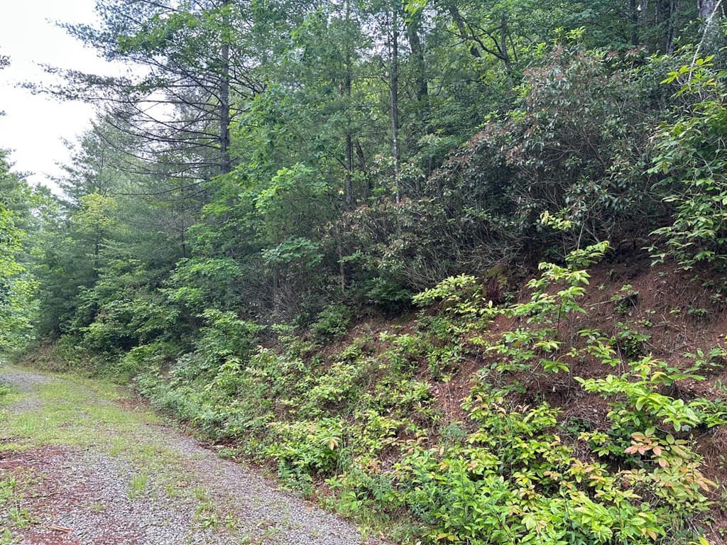 Residential Lot at Lot 62 & 62&A Creek Lot A, Stone Ridge Falls, Murphy, NC 28906, photo 8 of 16