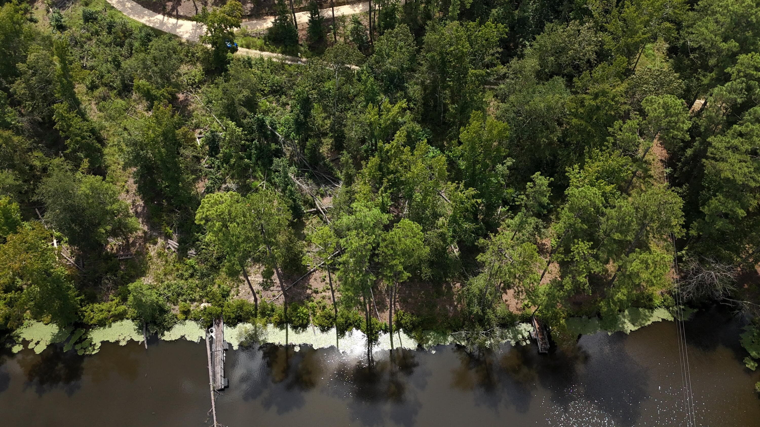 Residential Lot at 0 Hummingbird Drive, Trenton, SC 29847, photo 6 of 14